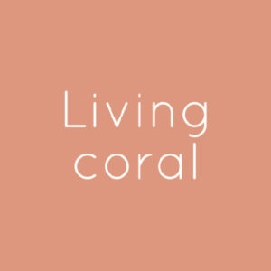 XYLON | Dizajn enterijera i nameštaja | Living-Coral